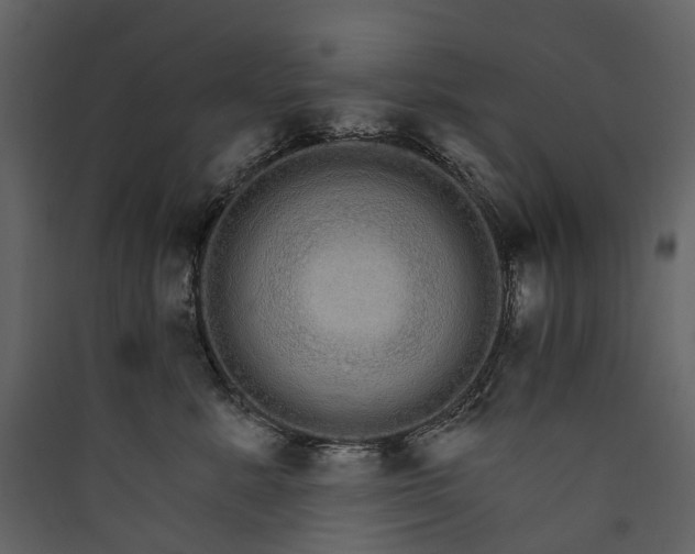 X0000089940619200707131455