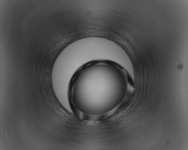 X0000089940621200707131455