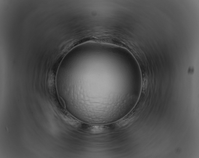 X0000089940623200707131455