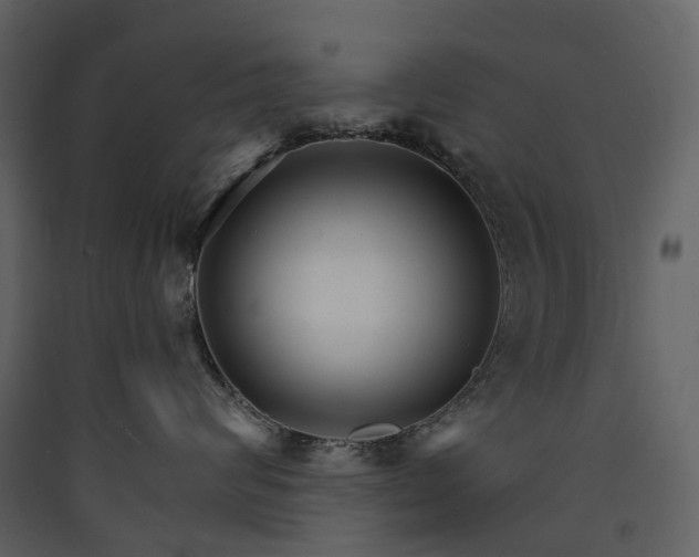 X0000089940624200707131455