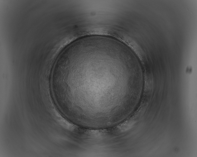 X0000089940625200707131454