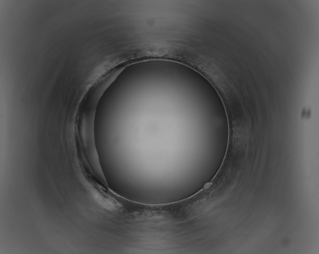 X0000089940626200707131454