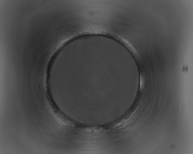 X0000089940627200707131454