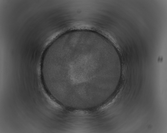 X0000089940629200707131454