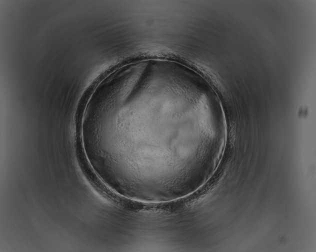 X0000089940630200707131454