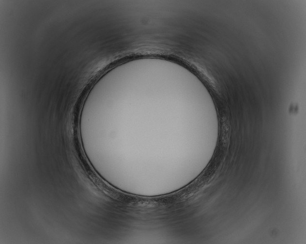 X0000089940631200707131454