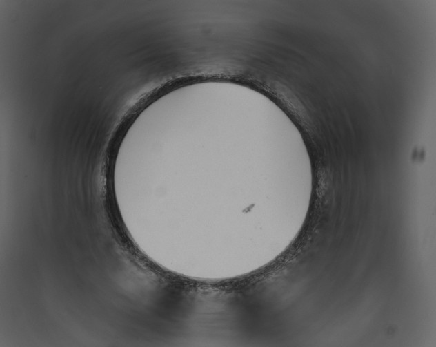 X0000089940632200707131454