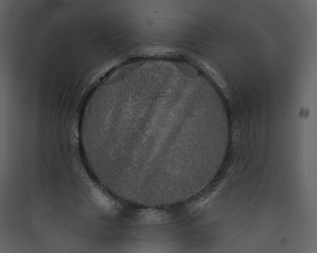 X0000089940633200707131454