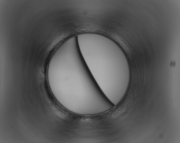 X0000089940634200707131454