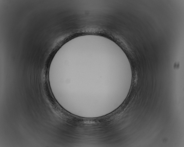 X0000089940636200707131454