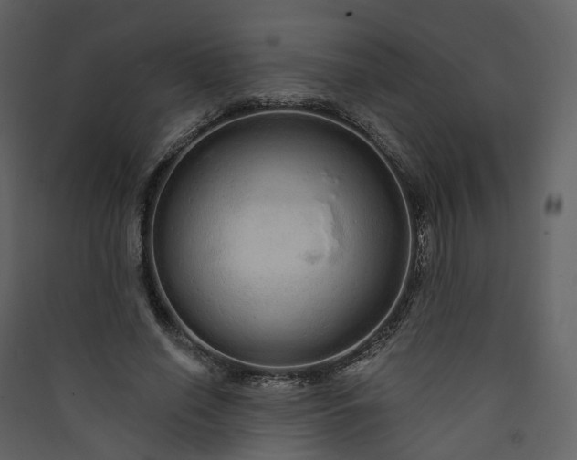 X0000089940638200707131454