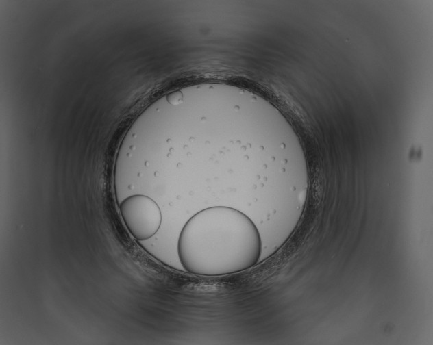 X0000089940639200707131454