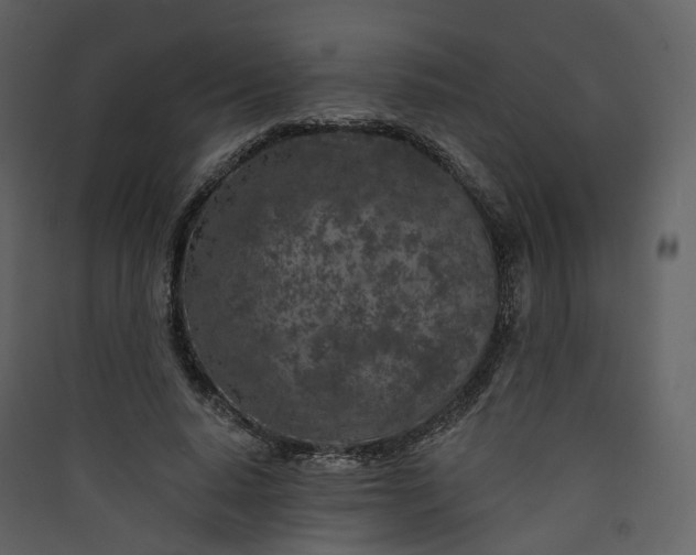 X0000089940640200707131454