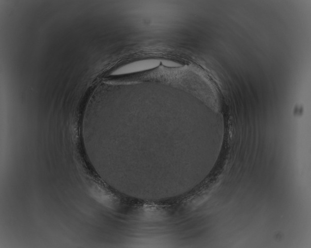 X0000089940641200707131454