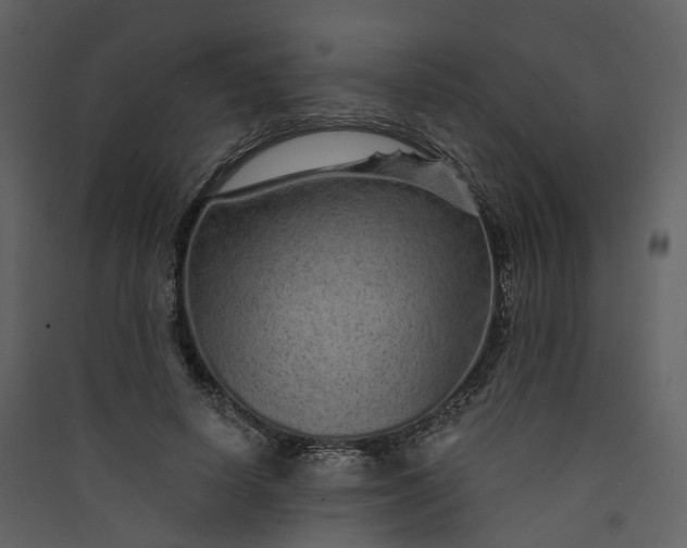 X0000089940642200707131454