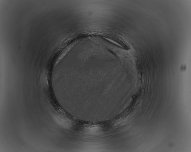 X0000089940643200707131454