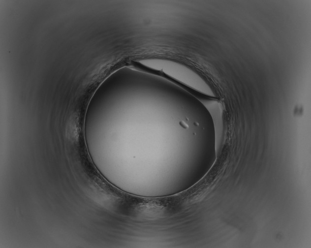 X0000089940644200707131454