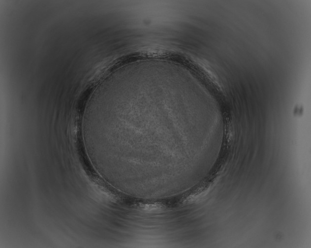 X0000089940645200707131454