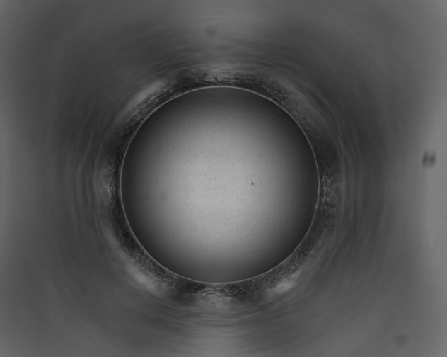 X0000089940648200707131454