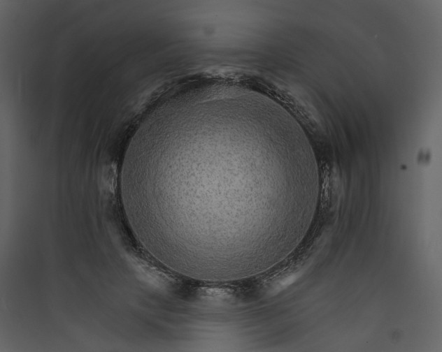 X0000089940649200707131454