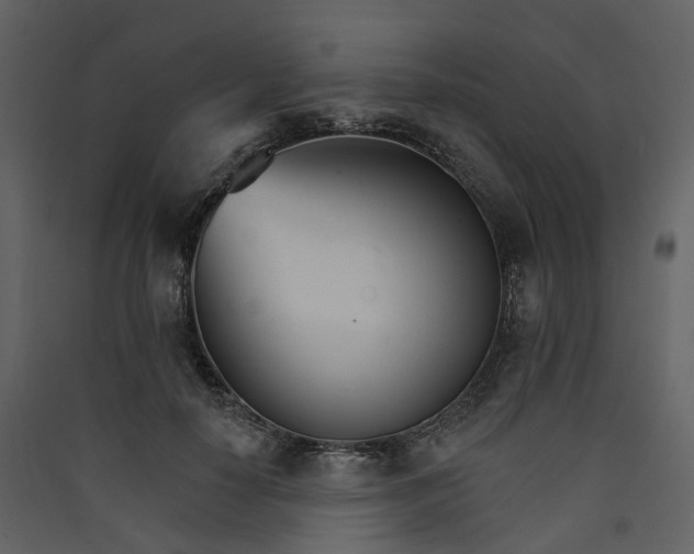 X0000089940650200707131454