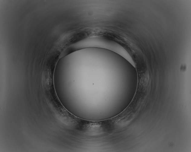 X0000089940651200707131454