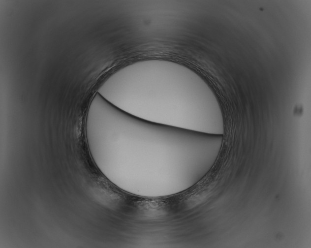 X0000089940652200707131454