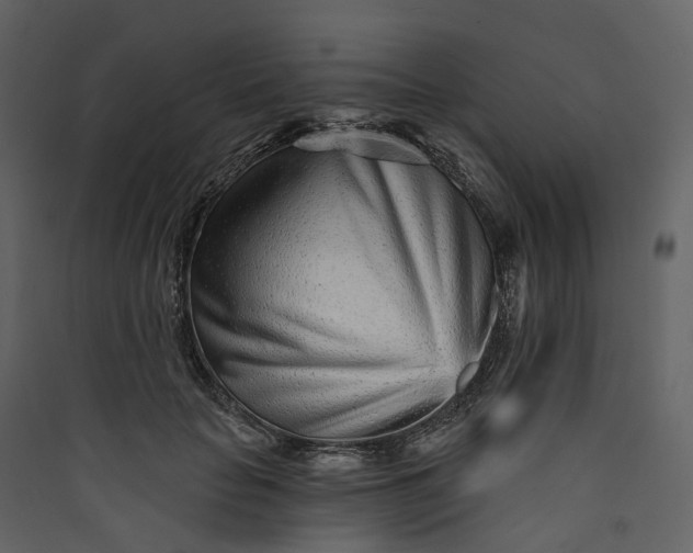 X0000089940653200707131454