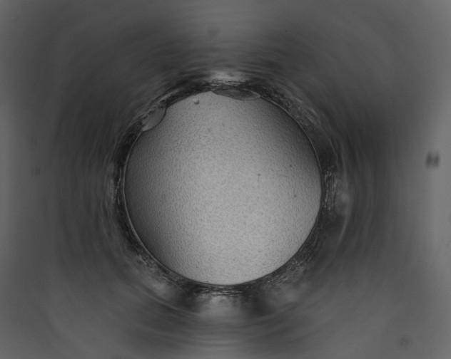 X0000089940655200707131454