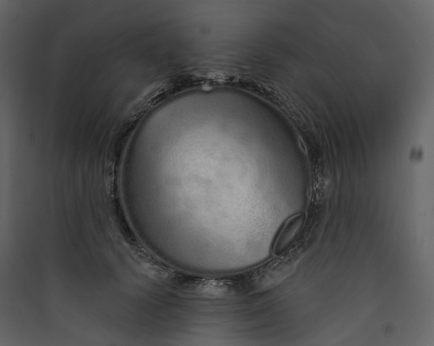 X0000089940656200707131454