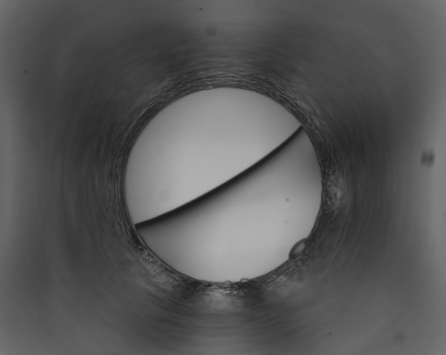 X0000089940657200707131454