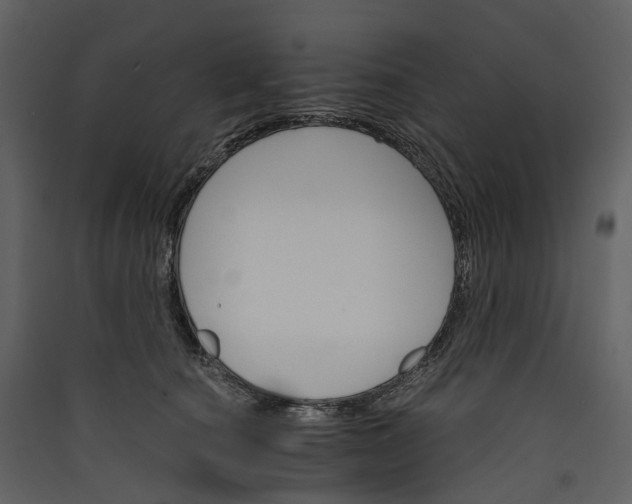 X0000089940660200707131454