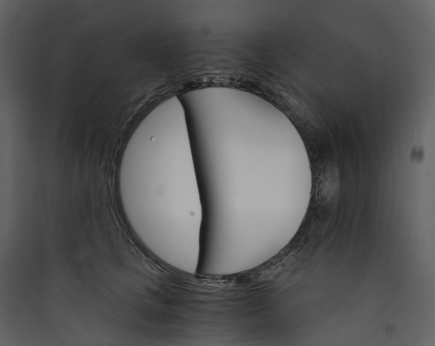 X0000089940661200707131454