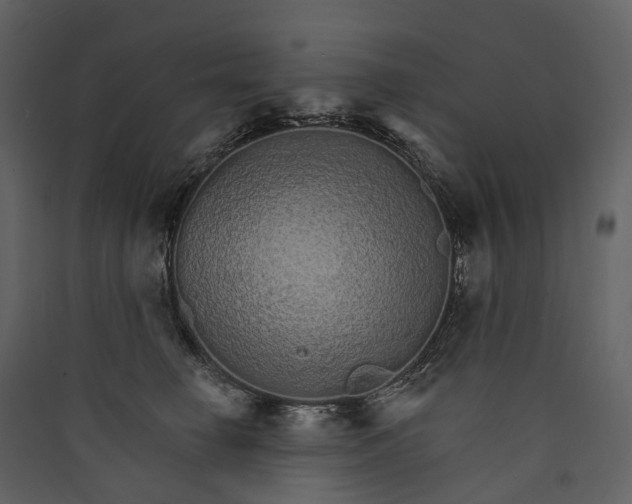 X0000089940662200707131454