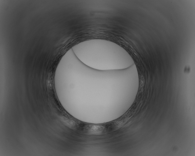 X0000089940663200707131454