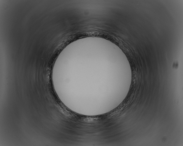 X0000089940664200707131454