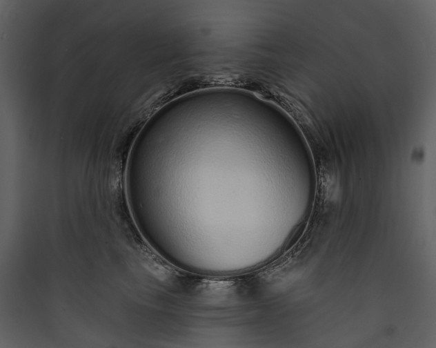 X0000089940665200707131455