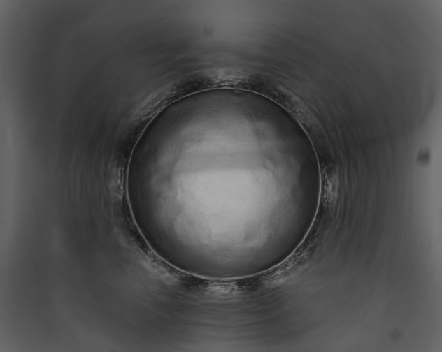 X0000089940666200707131455