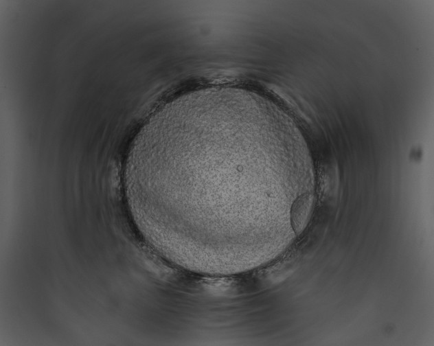 X0000089940667200707131455