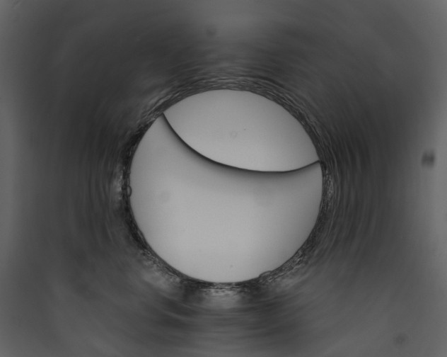 X0000089940668200707131455