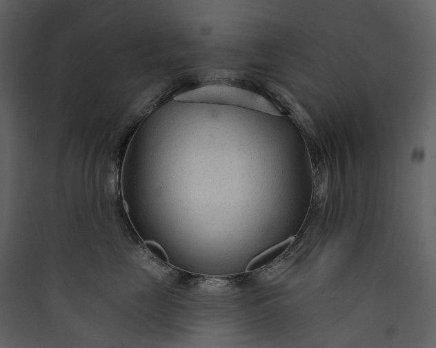 X0000089940669200707131455