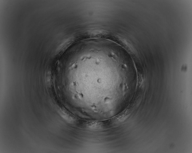 X0000089940670200707131455