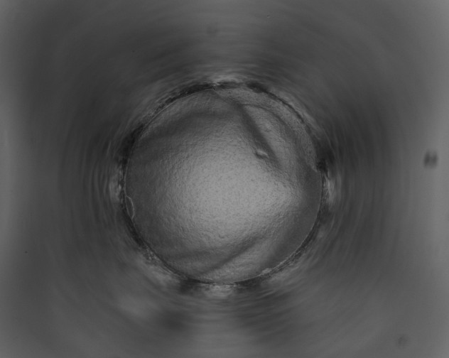 X0000089940671200707131455