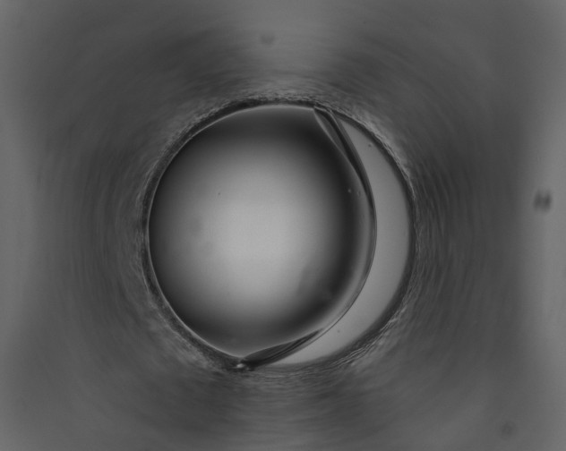 X0000089940673200707131454