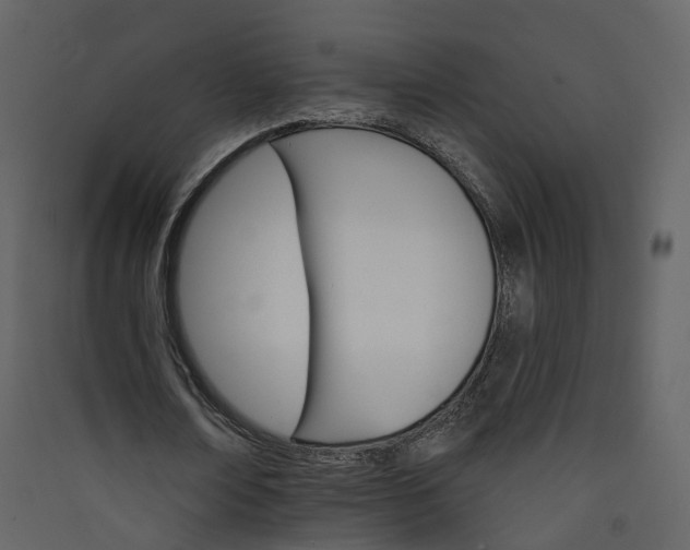 X0000089940674200707131454