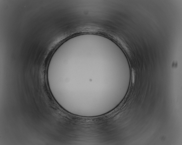 X0000089940675200707131454