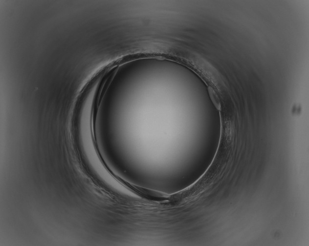 X0000089940676200707131454