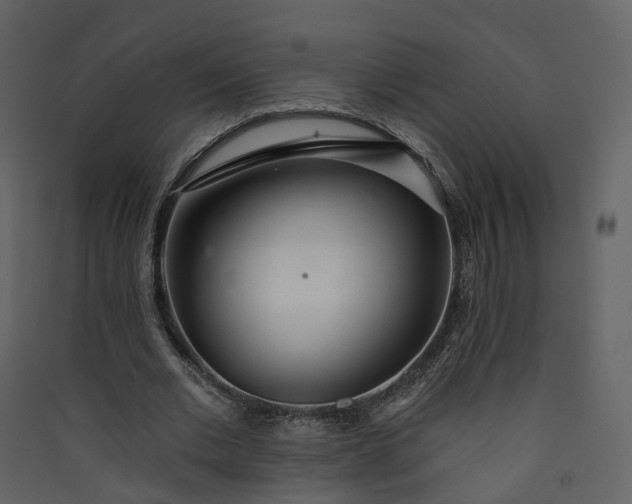 X0000089940677200707131454