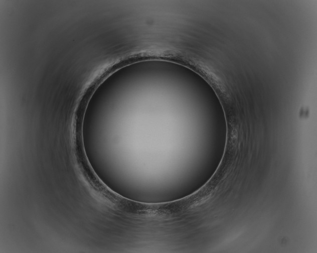 X0000089940678200707131454