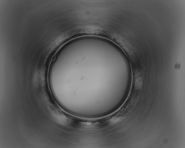 X0000089940679200707131454